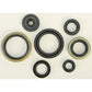 Oil Seal Set