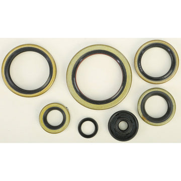 Oil Seal Set