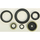Oil Seal Set