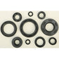 Oil Seal Set