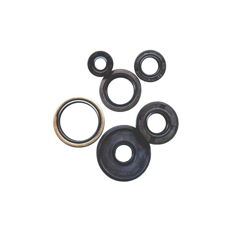 Oil Seal Set