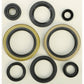 Oil Seal Set