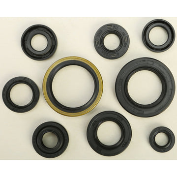 Oil Seal Set