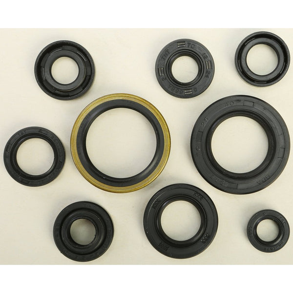 Oil Seal Set