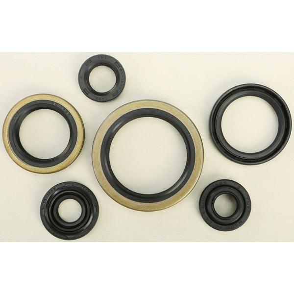 Oil Seal Set