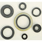 Oil Seal Set