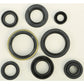 Oil Seal Set