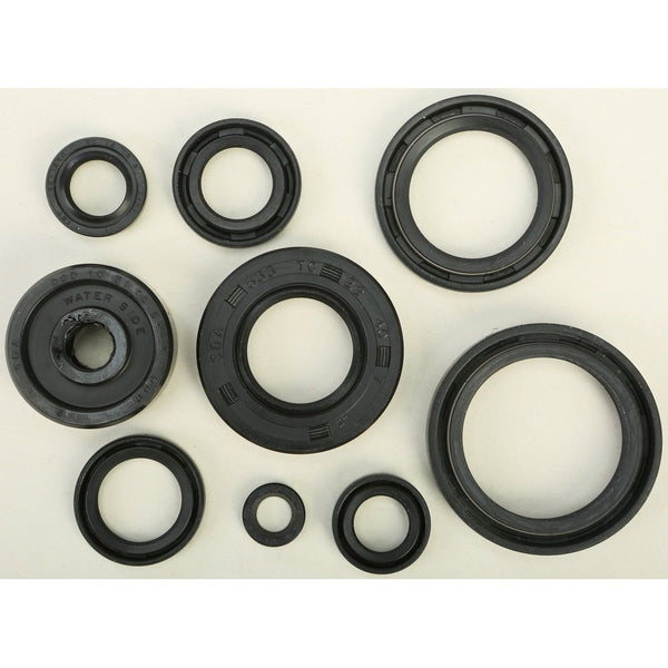 Oil Seal Set
