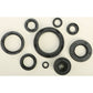 Oil Seal Set