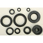 Oil Seal Set