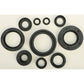 Oil Seal Set