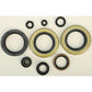 Oil Seal Set