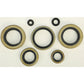 Oil Seal Set