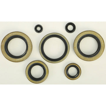 Oil Seal Set