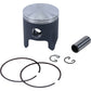Piston Kit Cast 67.45/Std Ktm