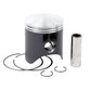 Piston Kit Cast 66.95/Std Suz