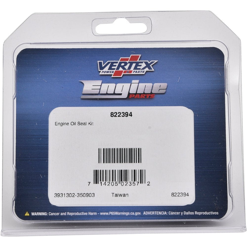 Oil Seal Kit