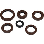 Oil Seal Set