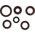 Oil Seal Set