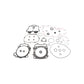 Complete Gasket Set With Oil Seals
