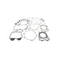 Complete Gasket Set With Oil Seals