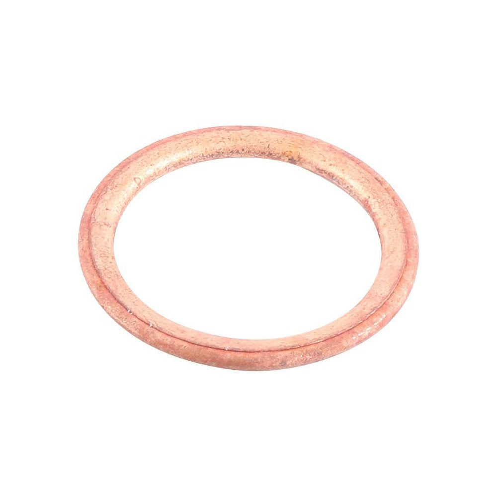 Exhaust Gasket Kit