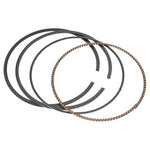 Piston Kit Cast 91.96/Std 10.0:1 Hon