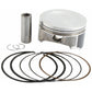 Piston Kit Cast 101.96/Std 9.2:1 Hon