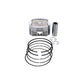 Piston Kit Cast 92.48/+0.50 10.2:1 Pol
