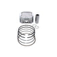 Piston Kit Cast 91.98/Std 10.2:1 Pol