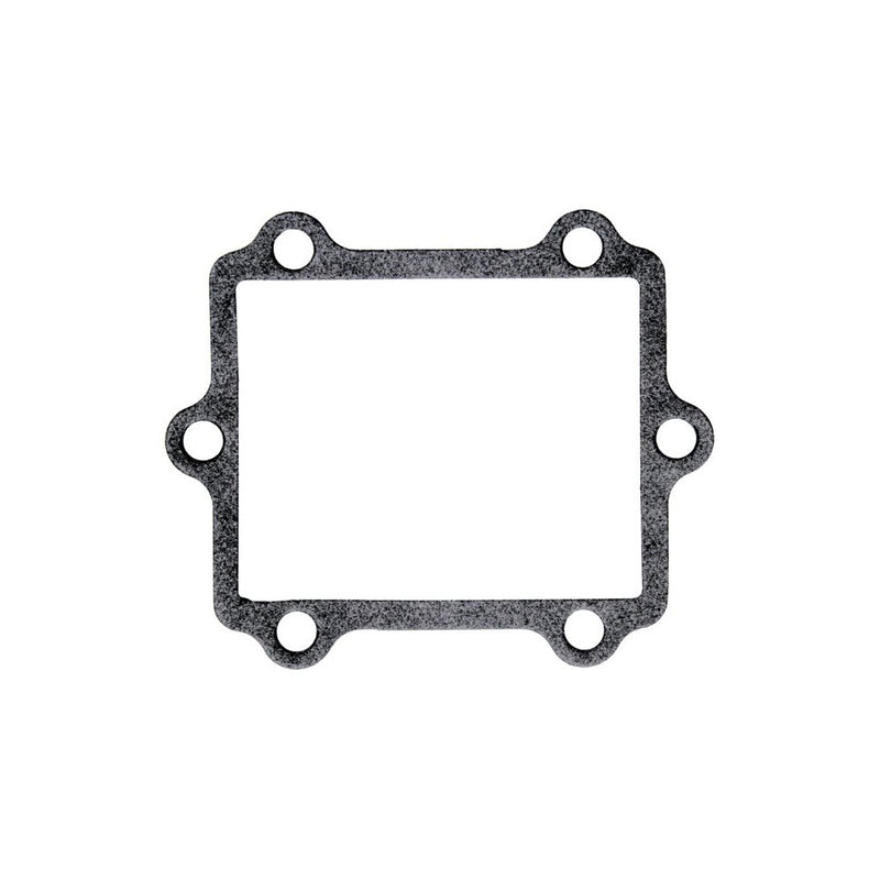 Vforce Replacement Gasket