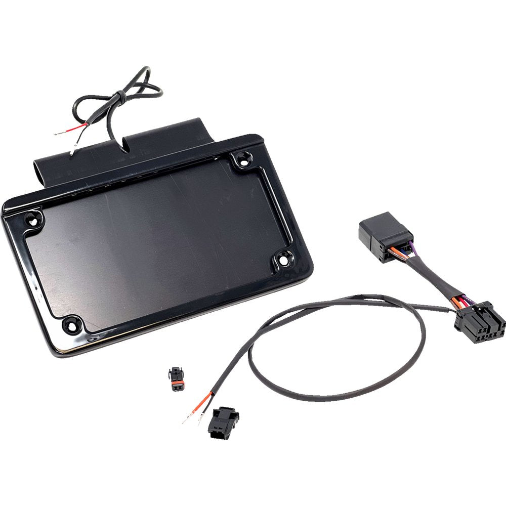 NAMZ Saddlebag Tag Holder w/ Illuminated License Plate Frame - '97 FLHR NIBTH-B01