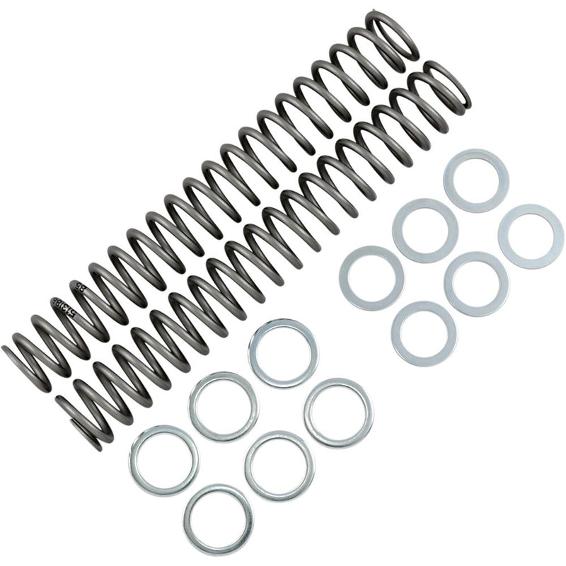 Race Tech Fork Springs - 0.85 kg/mm FRSP S3827085