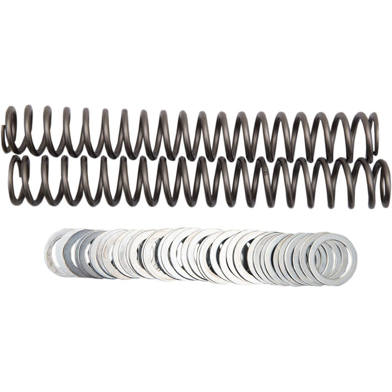 Race Tech Fork Springs - 0.95 kg/mm FRSP S3827095