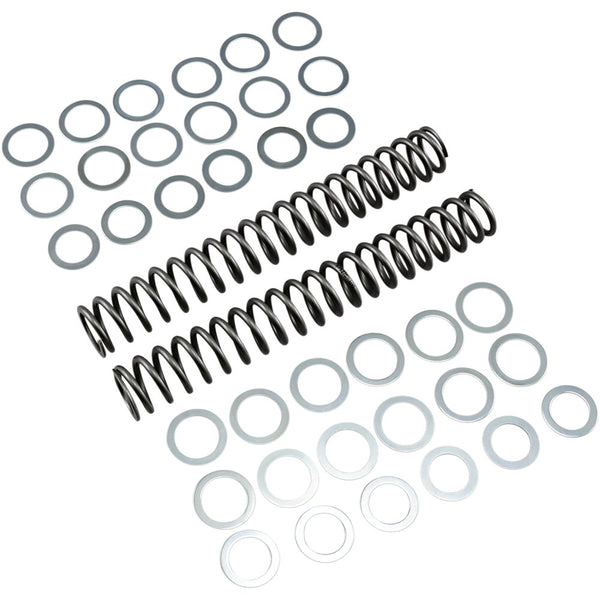Race Tech Fork Springs - 1.00 kg/mm FRSP S3827100