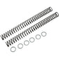 RACE TECH Fork Springs - 0.46 kg/mm FRSP 435146