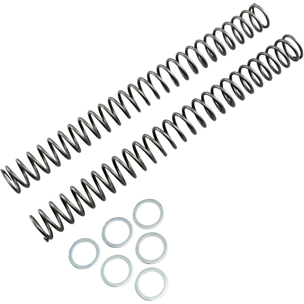 RACE TECH Fork Springs - 0.46 kg/mm FRSP 444546