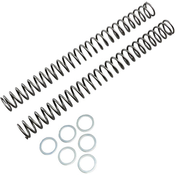 RACE TECH Fork Springs - 0.46 kg/mm FRSP 444546