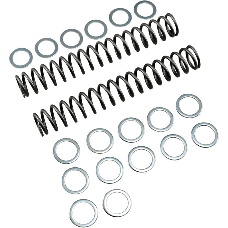 Race Tech Fork Springs - 0.90 kg/mm FRSP S3825090