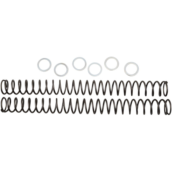 Race Tech Fork Springs - 0.38 kg/mm FRSP 444538