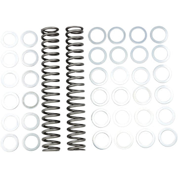 RACE TECH Fork Springs - 1.20 kg/mm FRSP S3825120