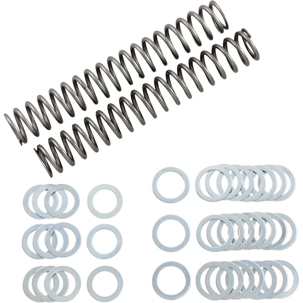 RACE TECH Fork Springs - 1.10 kg/mm FRSP S3825110
