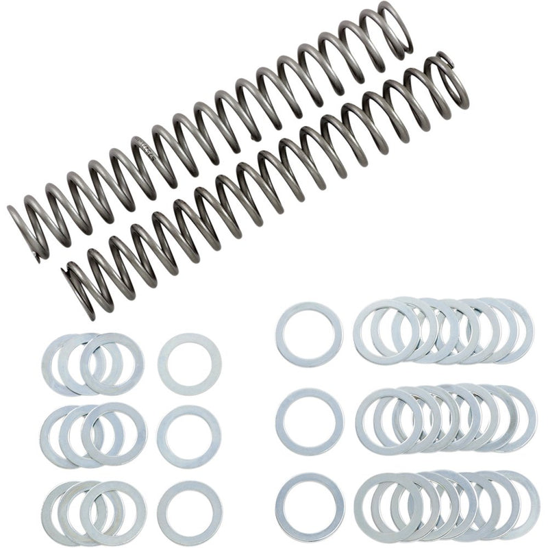 Race Tech Fork Springs - 1.10 kg/mm FRSP S3825110