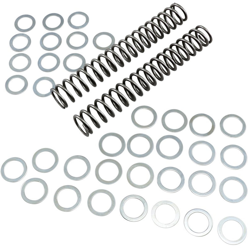 Race Tech Fork Springs - 1.00 kg/mm FRSP S3825100