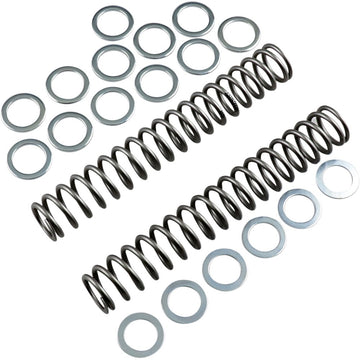 RACE TECH Fork Springs - 0.85 kg/mm FRSP S3825085