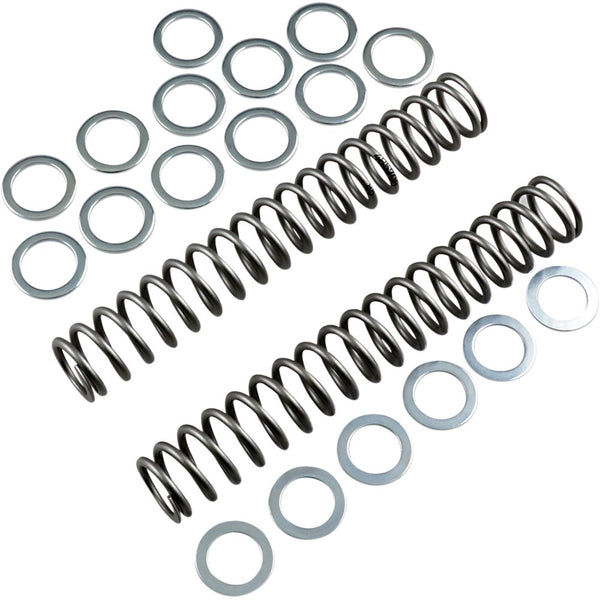 Race Tech Fork Springs - 0.85 kg/mm FRSP S3825085