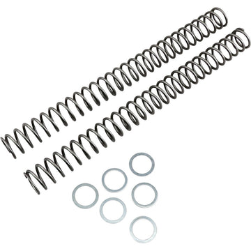 RACE TECH Fork Springs - 0.44 kg/mm FRSP 444744