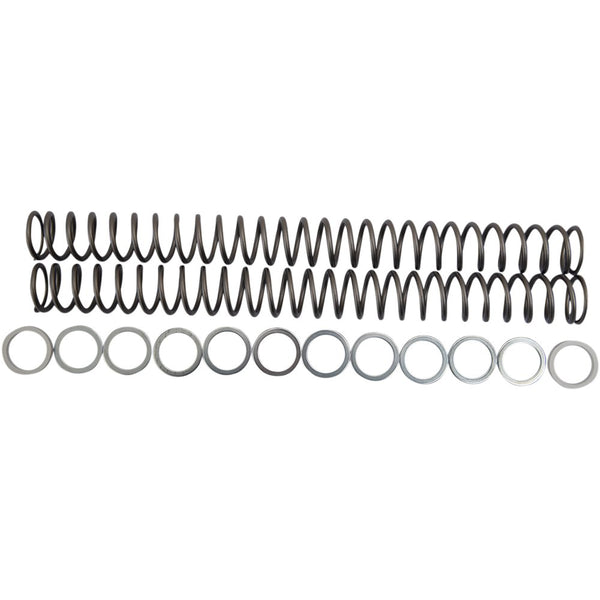 Race Tech Fork Springs - 0.48 kg/mm FRSP 434648
