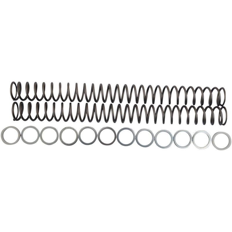 Race Tech Fork Springs - 0.48 kg/mm FRSP 434648