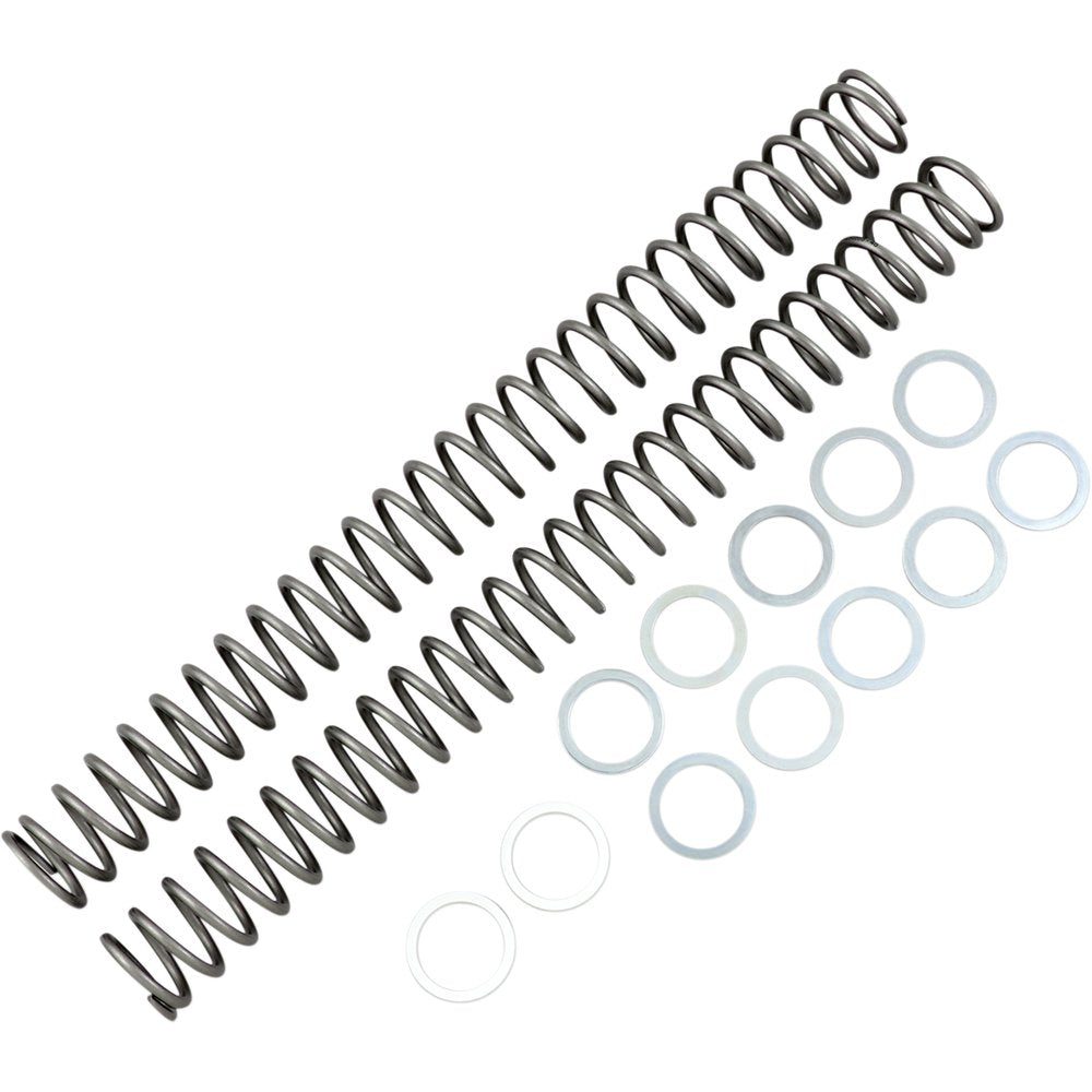 RACE TECH Fork Springs - 0.46 kg/mm FRSP 434646